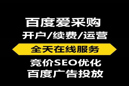 百度竞价公司运营策略：成功案例解析